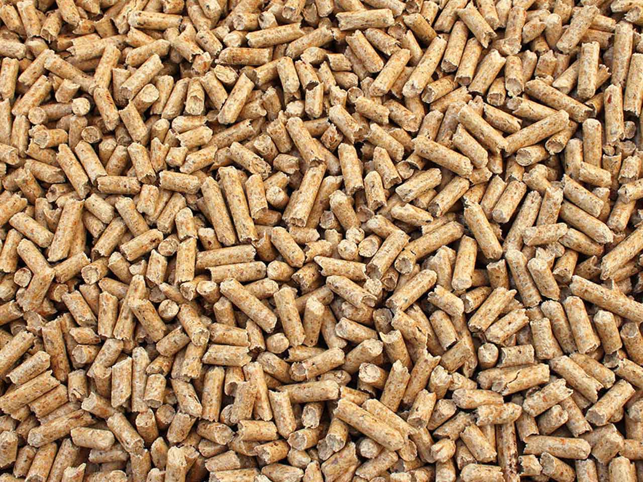PELLET AMERICAM PREMIUM 15KG - 10 SACCHI ALTISSIMO POTERE CALORIFERO CLASSIFICAZIONE ENplus A1
